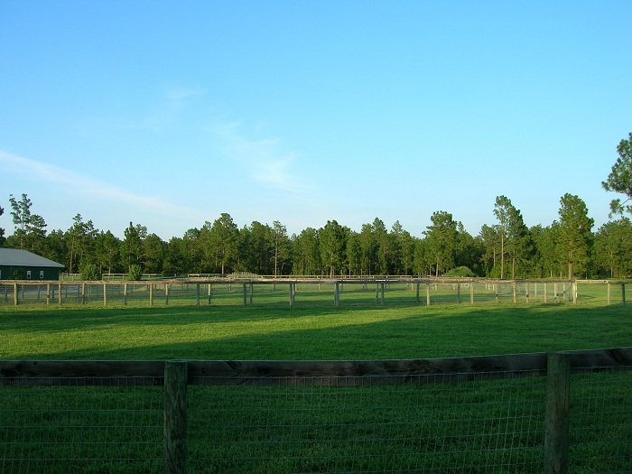 dutchfieldfarm-paddock-no-horses