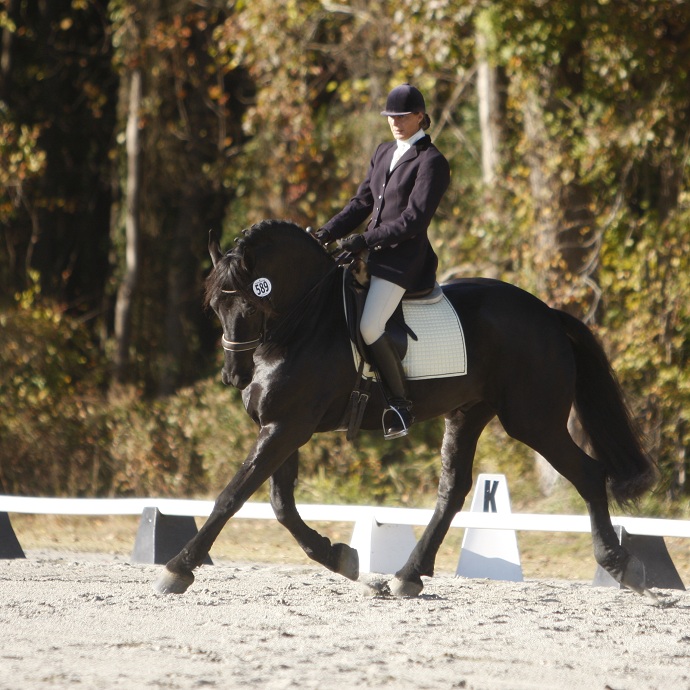 Jeanette van Mill riding Friesian Z-boy in Williamston 2010