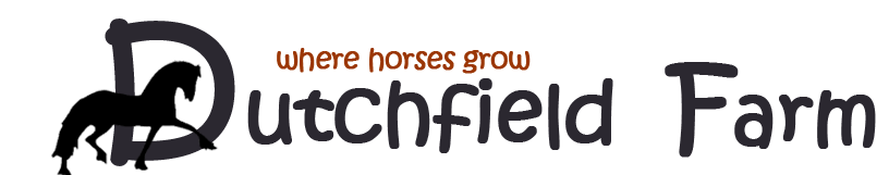 Dutchfield Farm where horses grow